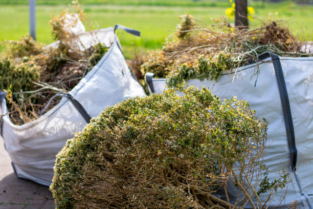 Best Hoarding Cleanup  in Myrtle Creek, OR